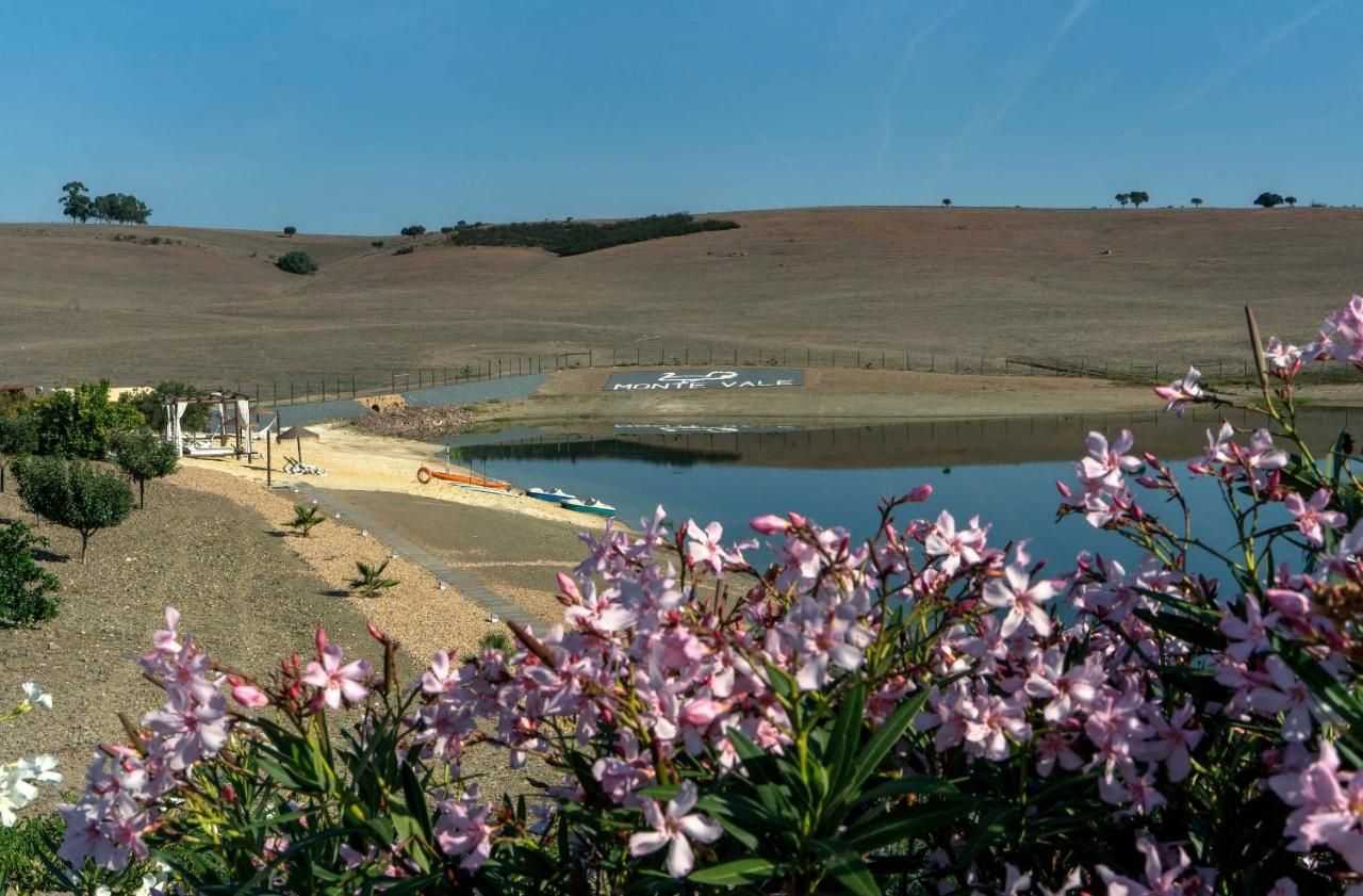 Monte Vale - Organic Farm Farm stay *