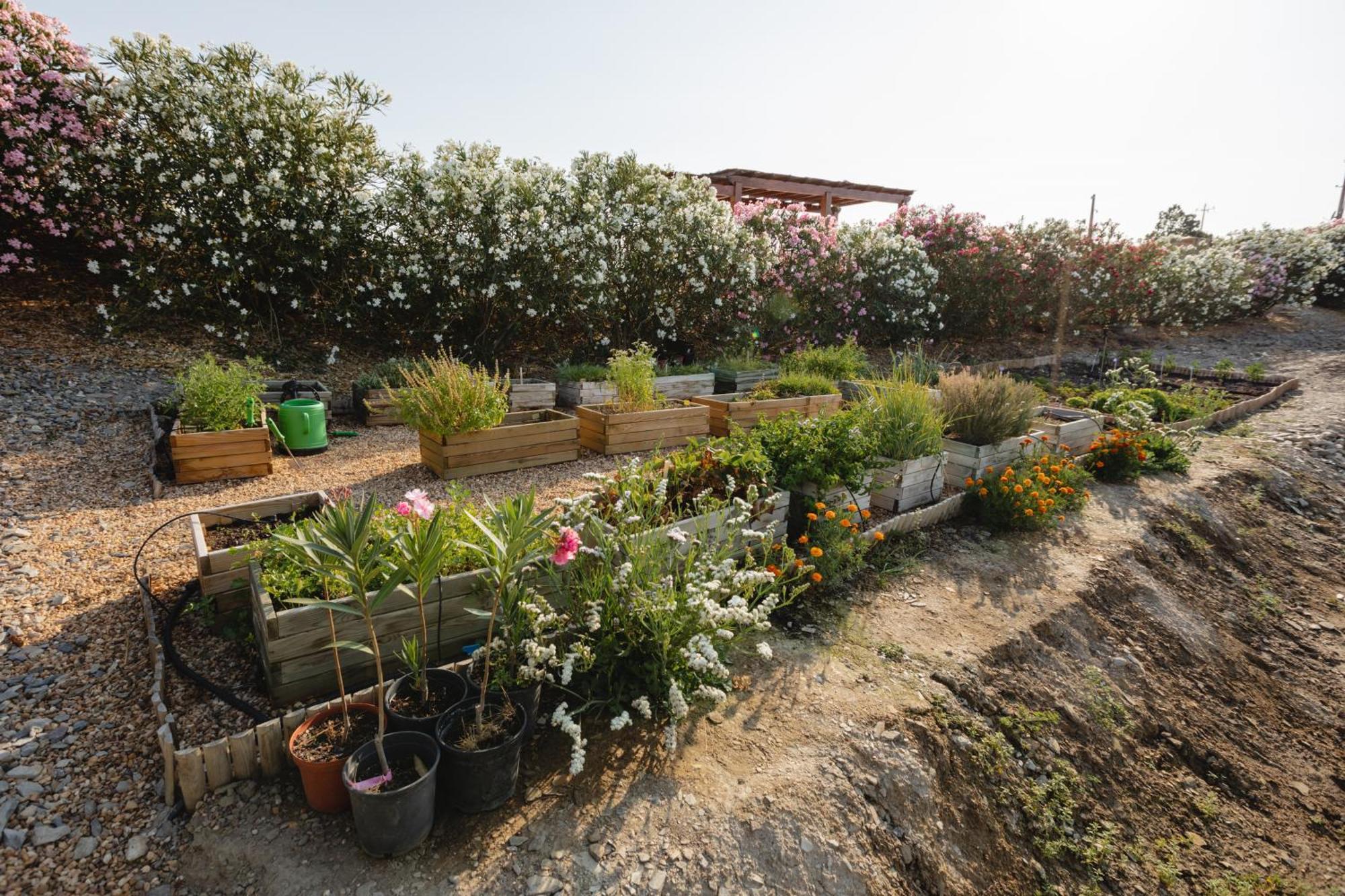 Monte Vale - Organic Farm Farm stay Entradas