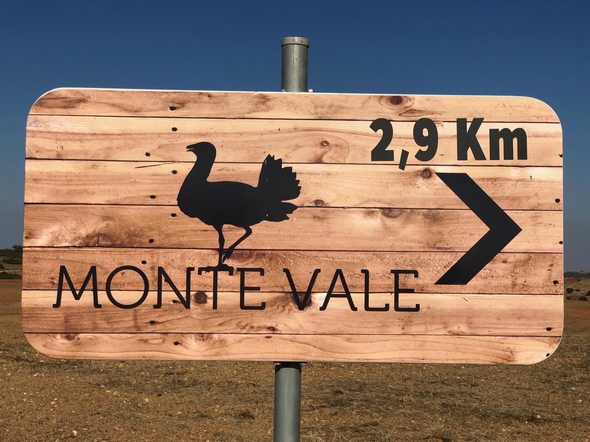 Farm stay Monte Vale - Organic Farm *
