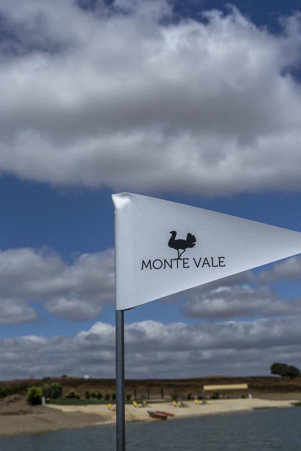 Monte Vale - Organic Farm * Entradas